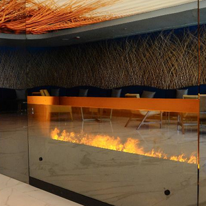Designer Electric Fireplace | AFIRE Water Vapor Fireplace Inserts